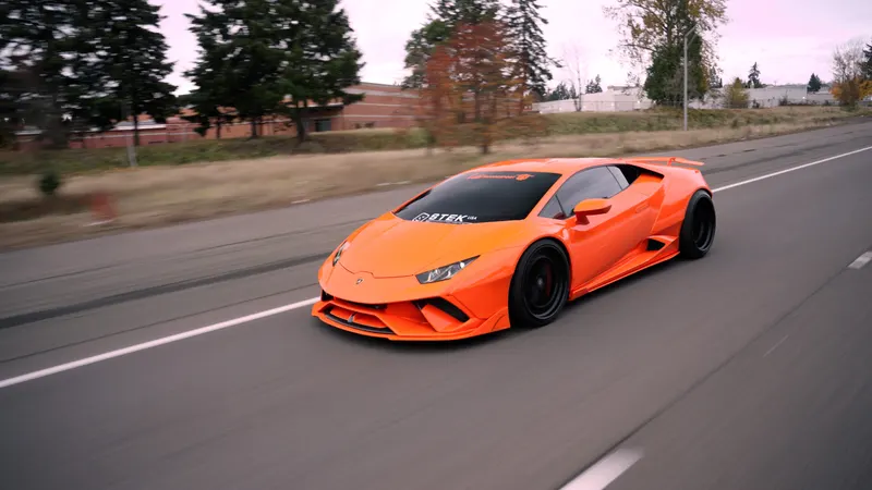 DYNOorange STEK film, high-gloss