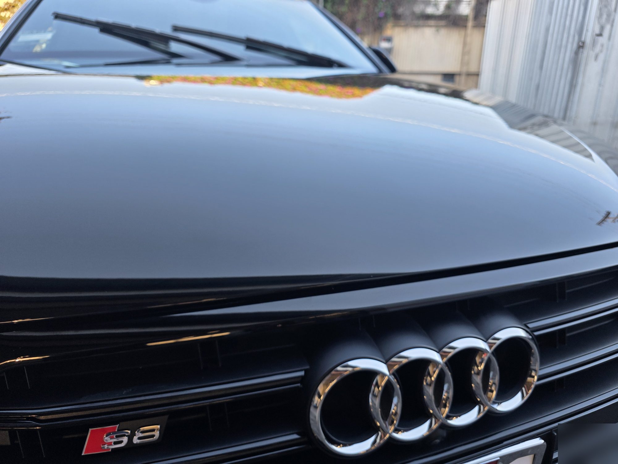 Hood and front Audi rings on a black S8 after P&S STOUT ceramic coating, the bougainvillea behind the shop reflected in the hood.