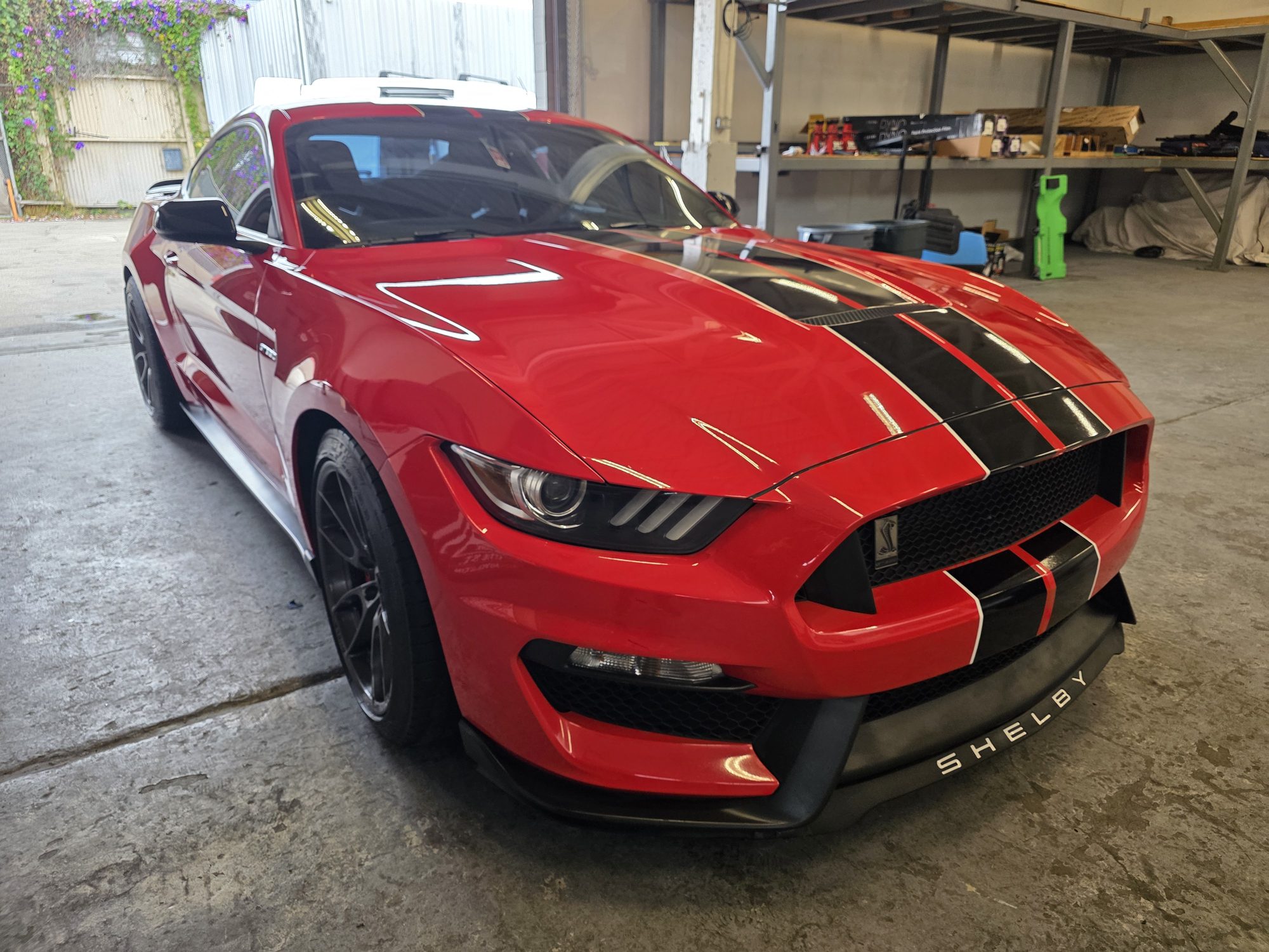 Front three-quarter view of a ceramic-coated red Shelby GT350, shop lights reflecting sharply off the hood and fender.