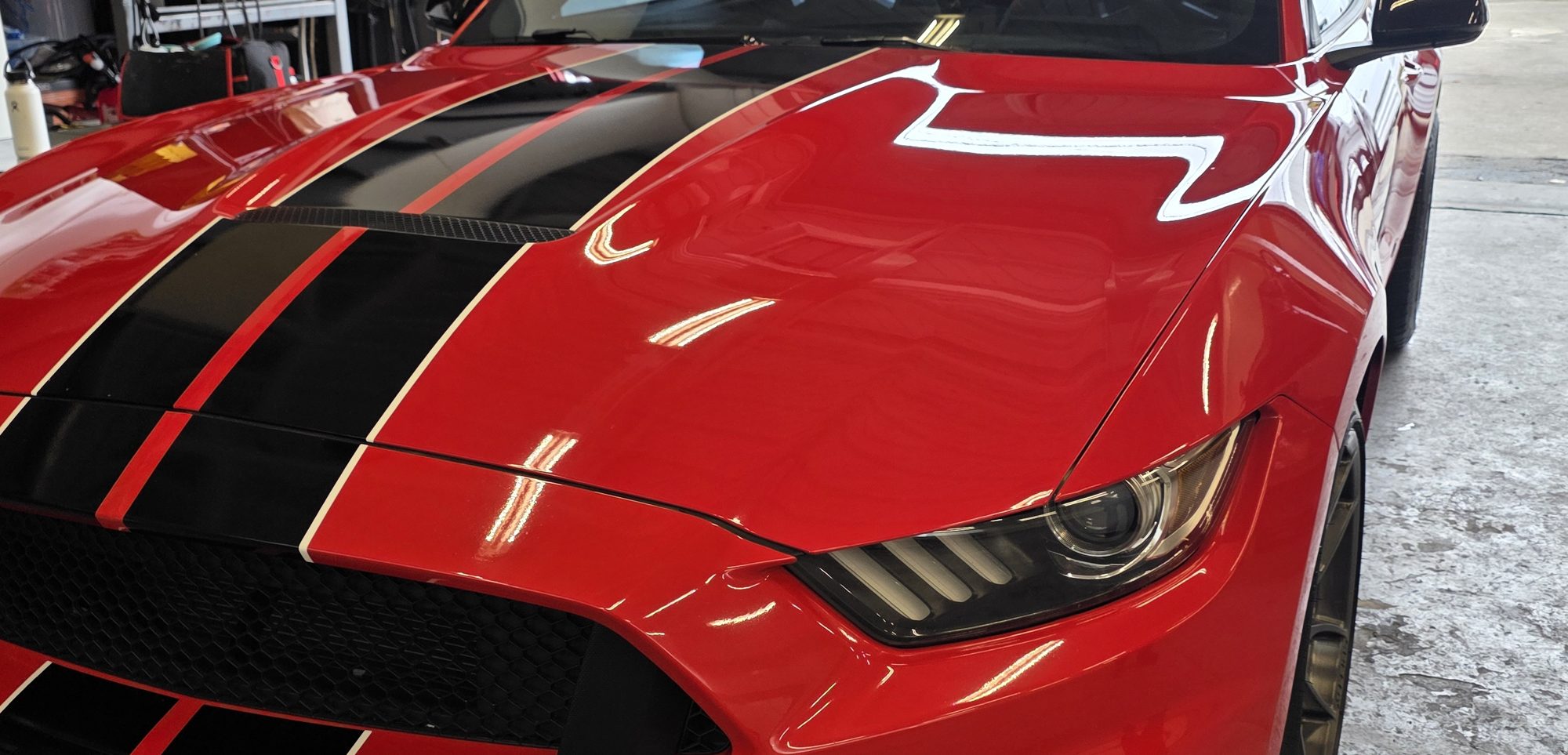 Close detail of the hood and stripes on a Shelby GT350 after P&S STOUT ceramic coating, showing the depth of gloss on the red paint.