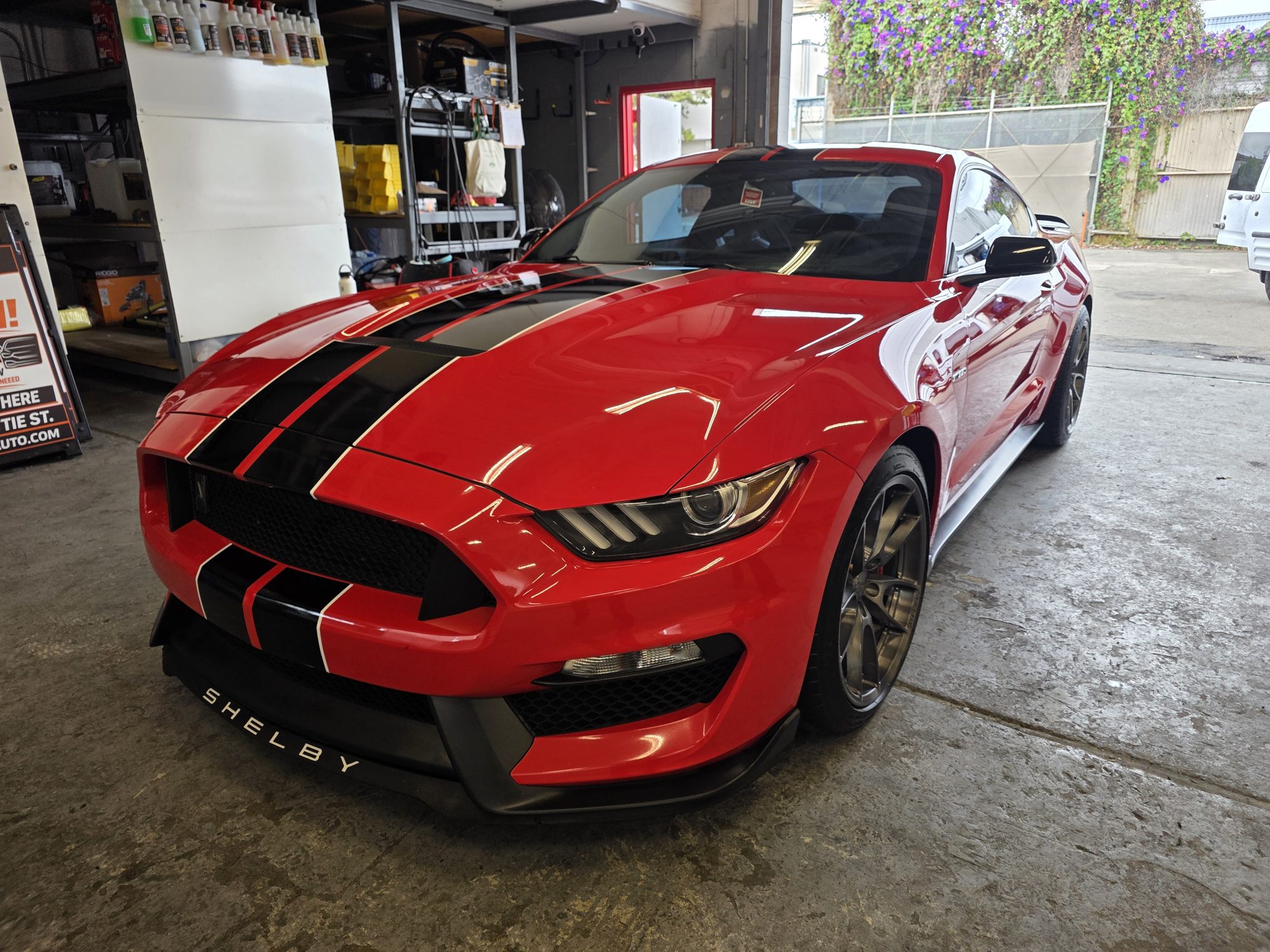 Red Shelby GT350 with black stripes inside the Innovo shop after a P&S STOUT ceramic coating, front three-quarter view.