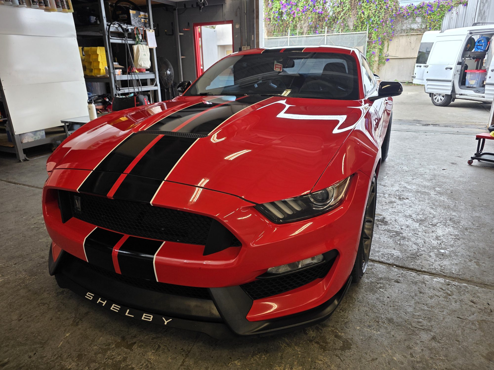 Straight-on front view of a ceramic-coated red Shelby GT350, shop lights reflecting across the hood and stripes.