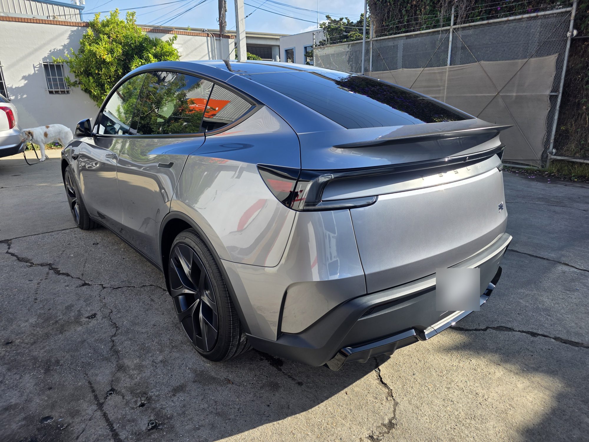 Rear three-quarter view of a grey Tesla Model Y after a full-body P&S STOUT ceramic coating, the quarter panel and liftgate reflecting the shop wall.